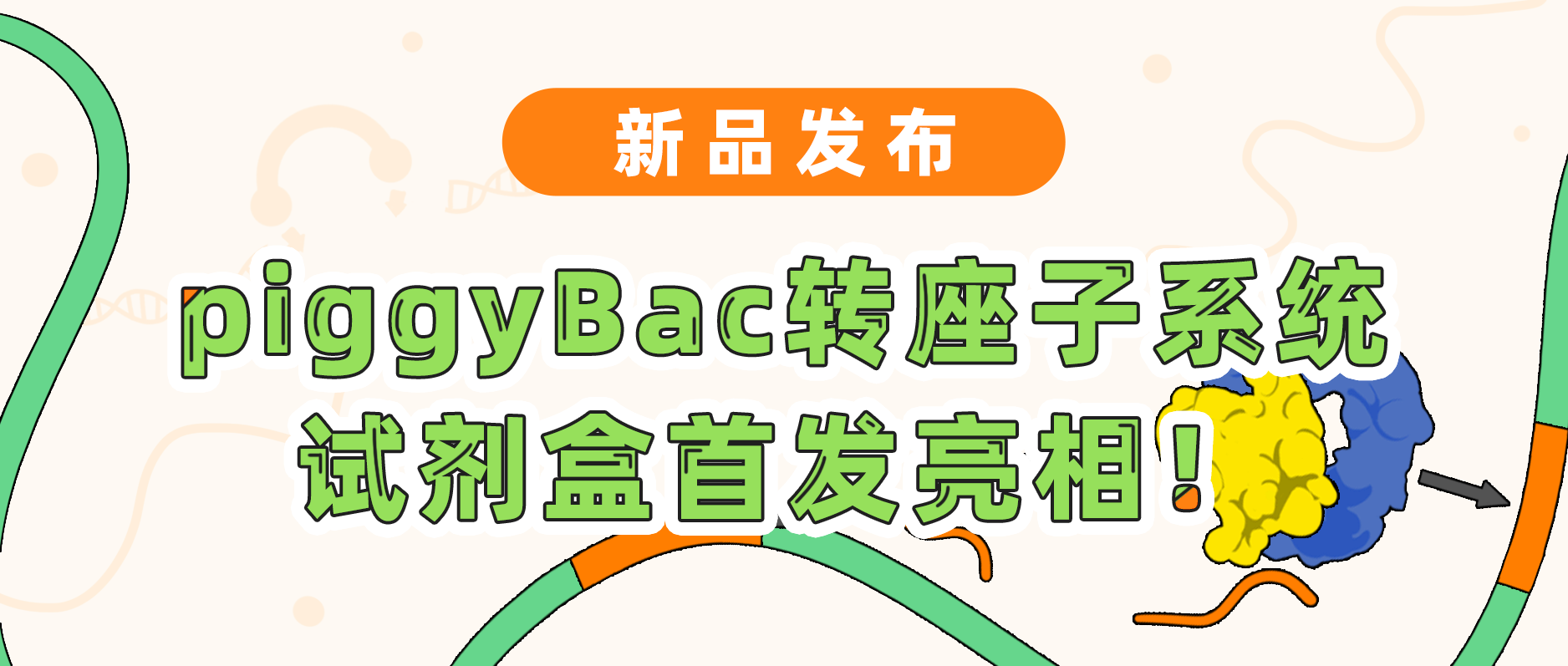 新品发布| 瓦力生物基因piggyBac转座子系统试剂盒首发亮相！极速转座，千元不到体验高效基因递送！