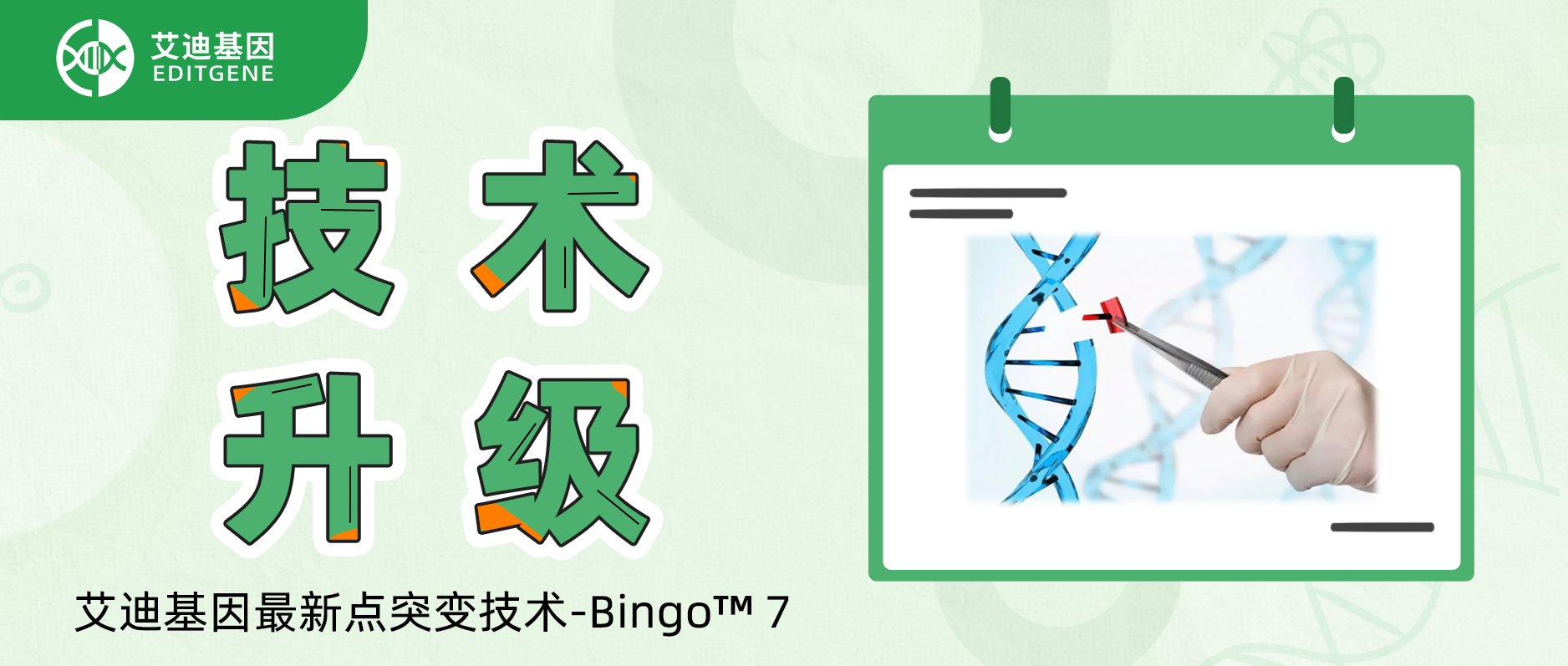 基因编辑精准与效率双向飙升！瓦力生物基因重磅推出升级基因定点突变技术-Bingo™ 7!