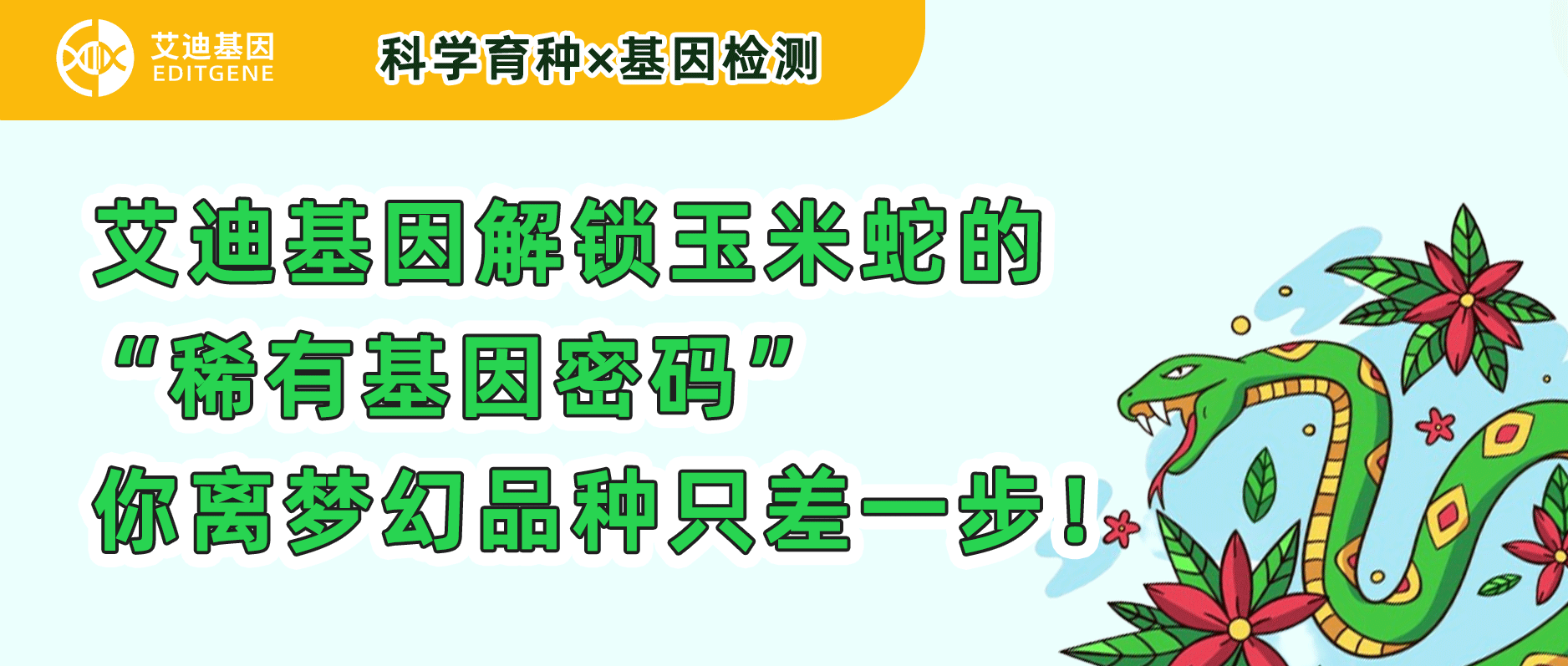 科研育种×基因检测 | 瓦力生物基因解锁玉米蛇的“稀有基因密码”，你离梦幻品种只差一步！